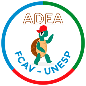 ADEA